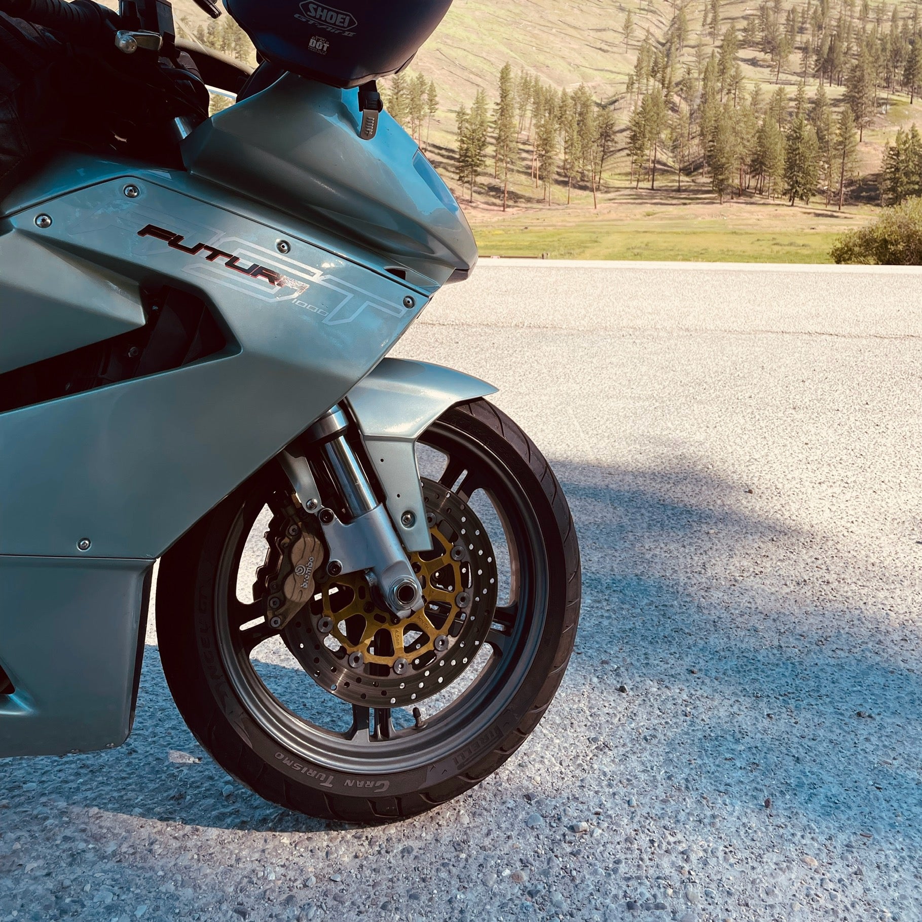 RST Futura – Smelly Dog Machine & Design